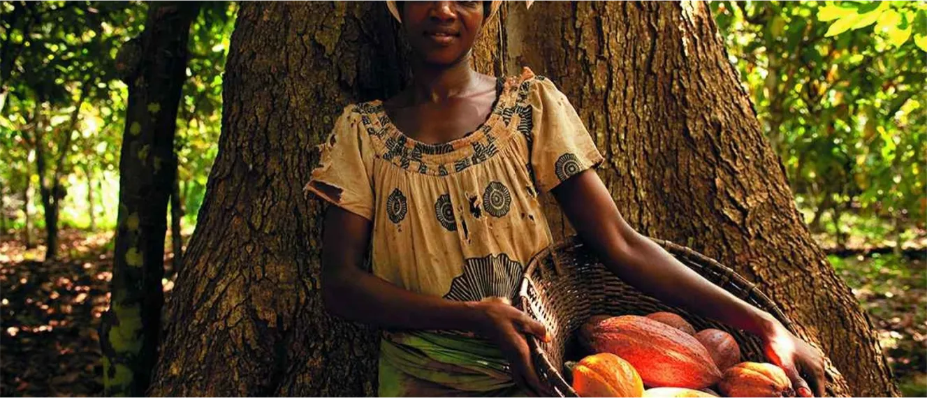 Better Cocoa For Better Lives