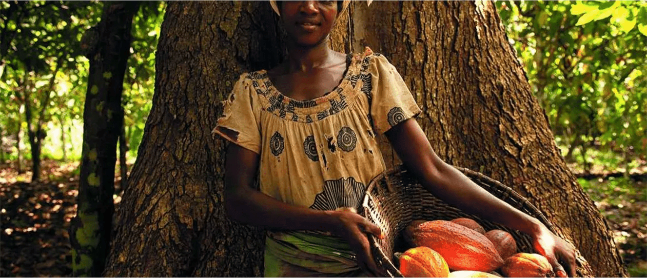 Nestle Cocoa Plan