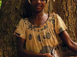 Nestle Cocoa Plan